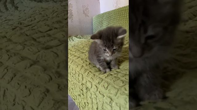 Каким ты станешь когда вырастешь?