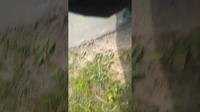 Сломался забор в 3 ЧАСА утра смотреть онлайн