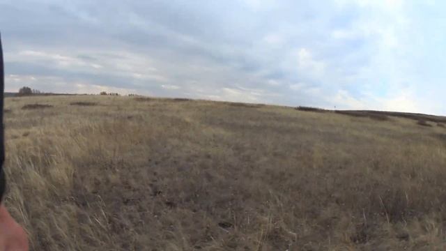 Охота на зайцев - открытие сезона смотреть онлайн