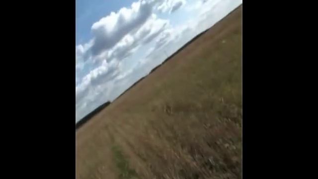 Шокирующее видео о сотовых телефонах смотреть онлайн