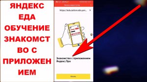 Яндекс Еда обучение. Знакомство с приложением Яндекс Про. Обзор приложения Яндекс