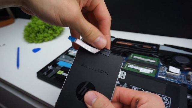 HP Pavilion 15 Gaming Upgrade RAM / SSD / HDD - Disassembly Guide смотреть онлайн