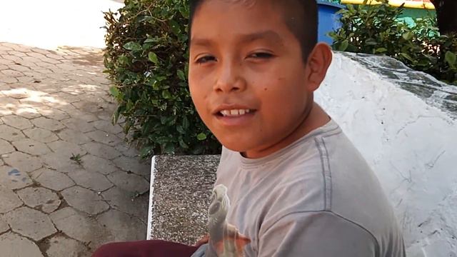 bro ma ar mi ermanito con alexis la makita смотреть онлайн