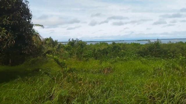 Farm Lot for sale with seafront view | location Bohol, Philippines смотреть онлайн
