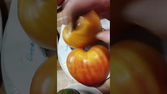 Коллекционный томат Помаранч смотреть онлайн