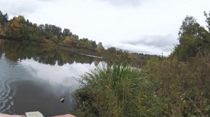 Лучший ДЕШЕВЫЙ воблер на окуня! Ловим окуня на воблеры вместе | Рыбалка с Fishingsib