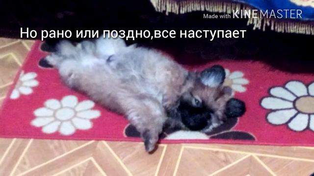 ЕГО НЕ СТАЛО....