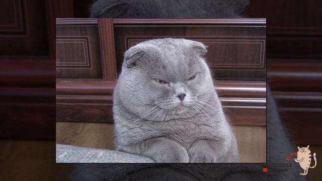 Все болезни от нервов смотреть онлайн