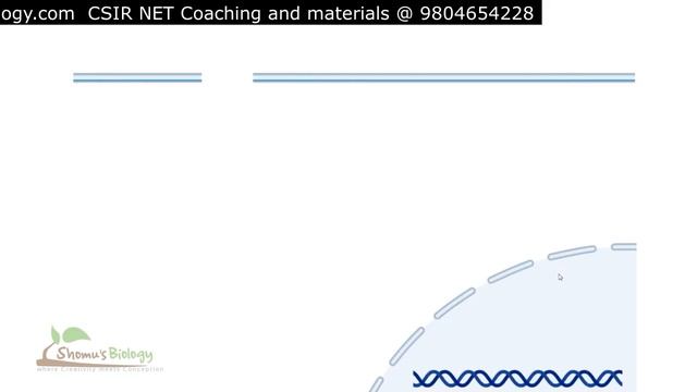 Nf kb pathway cell signaling pathway animation смотреть онлайн