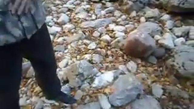 Большой каньон часть 18 (яйцо динозавра 2) смотреть онлайн