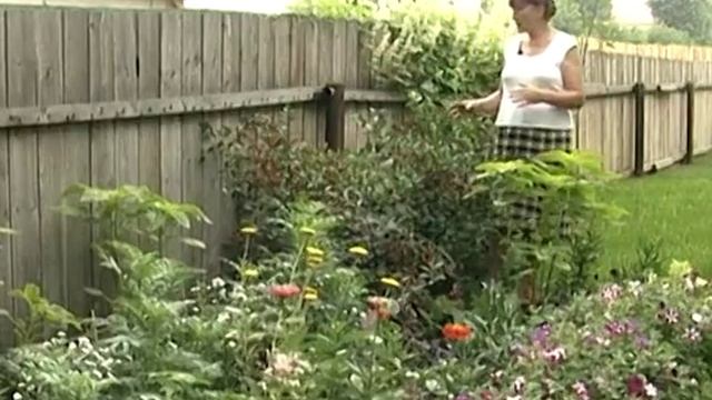 Своими руками! Красота возле дома вместо бурьяна и свалки. смотреть онлайн