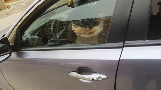 МИСТЕР ТАГИР. поиск причины скрипов смотреть онлайн