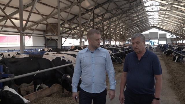 Пятизвездочный ? коровник || Расскажу @paramynut смотреть онлайн