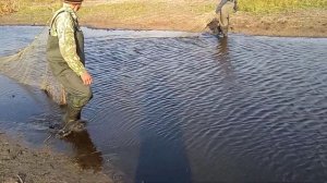 Рыбалка бреднем  в микра речьки