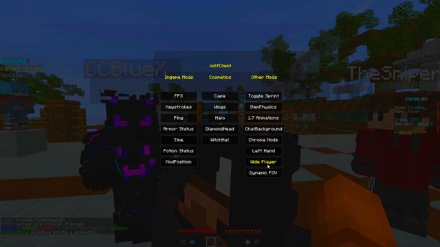 Ho Pagato 15€ Per Un Client Minecraft Privato... смотреть онлайн