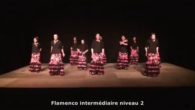 Flamenco y Fiesta Ecole de Flamenco Alexandre Romero смотреть онлайн