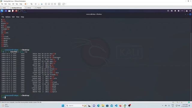Penetration Testing with Kali Linux - Playing with bash - Video 3 смотреть онлайн