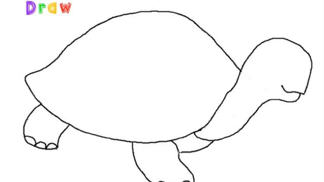 How to Draw a Turtle Easy Step by Step смотреть онлайн