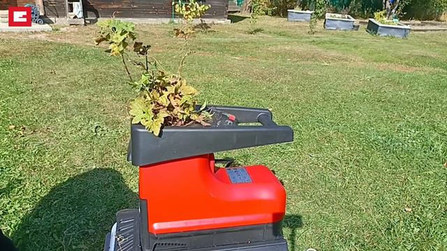 Einhell Аккумуляторный секатор и садовый измельчитель в работе.