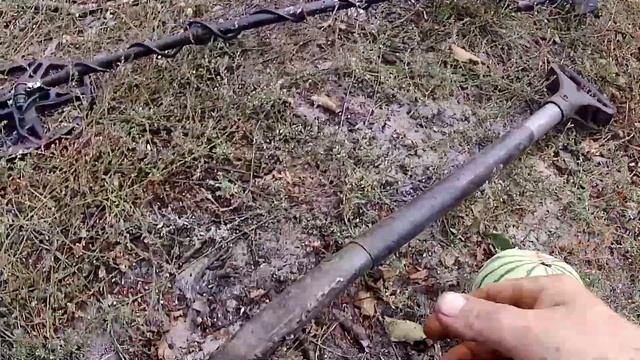 Шок. В Белорусских лесах растут дикие Арбузы!!! смотреть онлайн