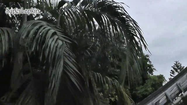 Таиланд 2013. Парк развлечений Dream World Bangkok смотреть онлайн