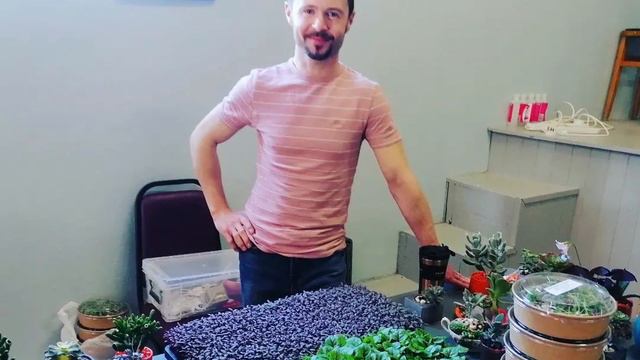 Island Organix in County Kerry receives €1000 grant from the Rise Global Foundation смотреть онлайн