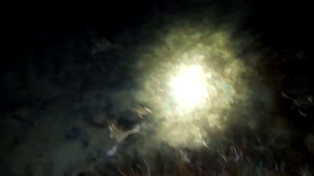 Лягушки мая смотреть онлайн