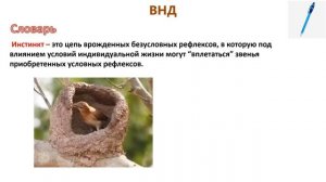 Высшая нервная деятельность. Тема 44. Высшая нервная деятельность