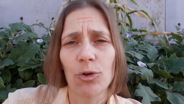 Волшебница-Животные на забой. смотреть онлайн