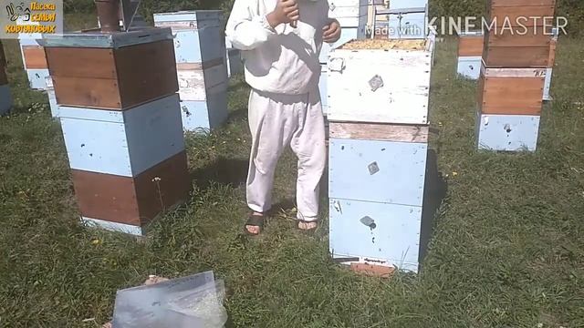 Самый простой способ розжига дымаря и не только!!! Работа пчелоудалителя. смотреть онлайн