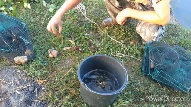 Раки в Тульской области, Ловим раков в Туле смотреть онлайн