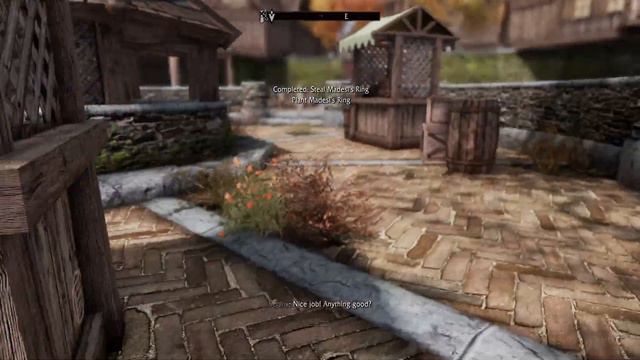 Skyrim - Serana Dialogue Add-on - (SDA MOD) - Playthrough - 109 (The Thieves Guild) смотреть онлайн