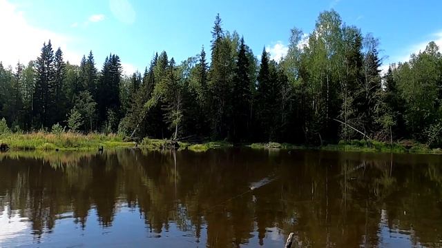 Ловля щуки на озёрах .КОРЯЖНИК . СЛЕДЫ МЕДВЕДЯ . смотреть онлайн