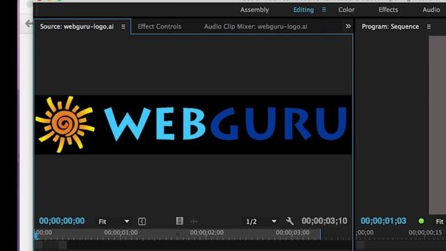 How To Import Adobe Illustrator Files Into Adobe Premiere Pro CC In 2023