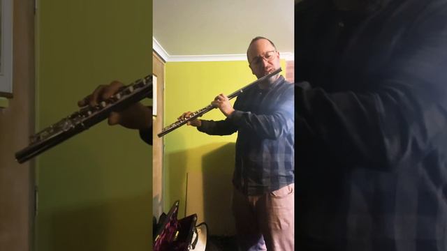 Gebrüder Mönnig Alto Flute for sale смотреть онлайн