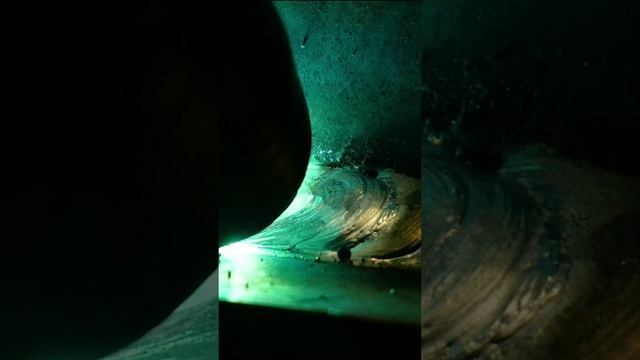 АВРОРА Динамика 160 АДАПТИВ смотреть онлайн