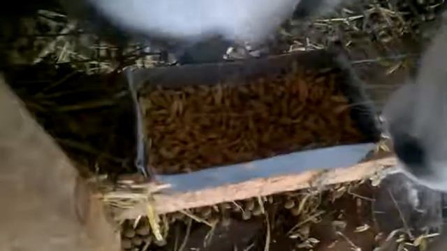 Поилка с подогревом для КРОЛИКОВ! смотреть онлайн