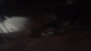 Прадо 120 замена рулевой рейки.легко пиzDеc.....