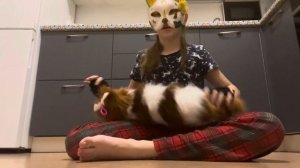 Что нужно для начинающих квадроберов? ВСЕ ПОДРОБНО!🐾