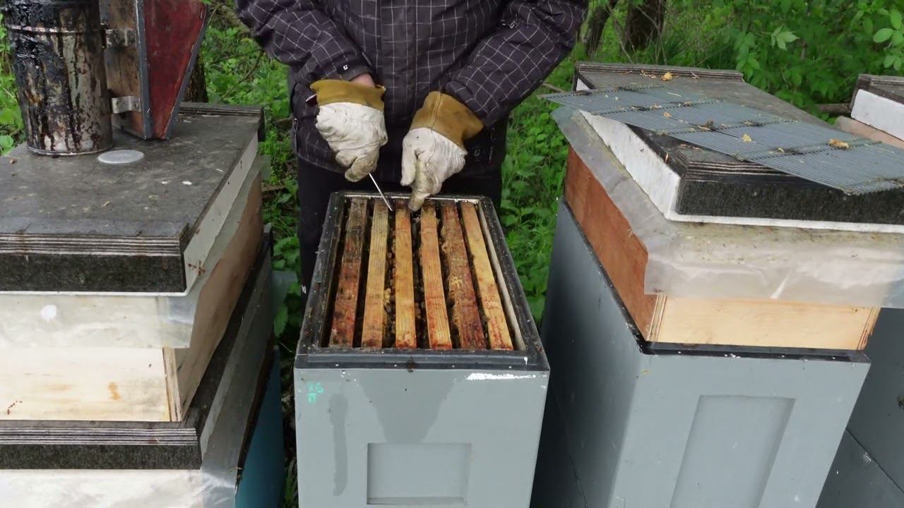 расширяю шестирамочники при температуре 5°С смотреть онлайн