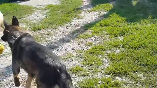 тест на разные поверхности пола   Different Floor Surfaces Test