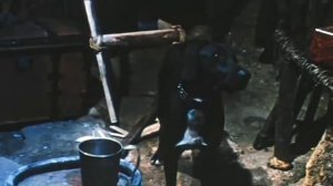 Копия видео "Жизнь и Удивительные Приключения Робинзона Крузо 1972 1"