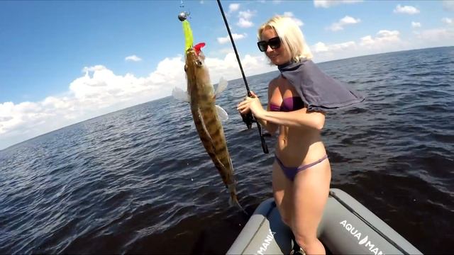 БЕЗОТКАЗНАЯ ПРИМАНКА КОСИТ СУДАКА! Рыбалка на судака 2021! Ловля судака летом на джиг смотреть онлайн