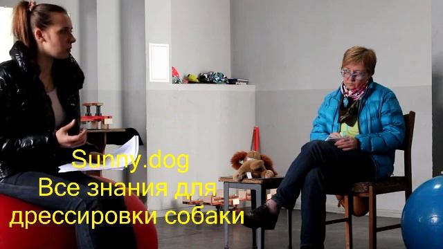 первая помощь собаке шок и виды шока Часть лекции для владельцев смотреть онлайн