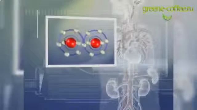 Зеленый кофе в зернах смотреть онлайн