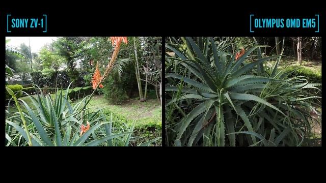 ¿Cuál es mejor para vlogging?