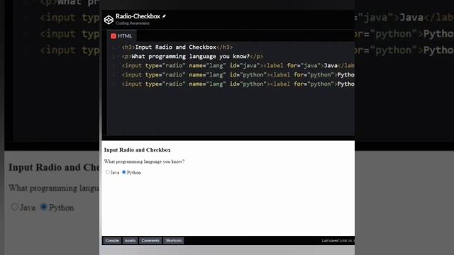 HTML Input Radio and Checkbox example | Web Development tips | Coding Awareness смотреть онлайн