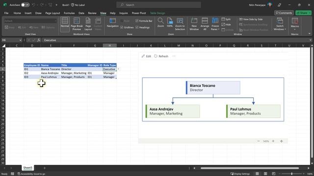 Create Organization Charts - Part 2 - Excel and Visio смотреть онлайн