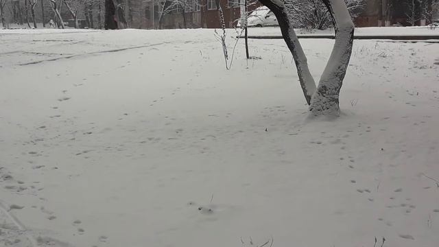 Мариуполь. Настоящая зима. Снег идёт. 15.01.21 смотреть онлайн