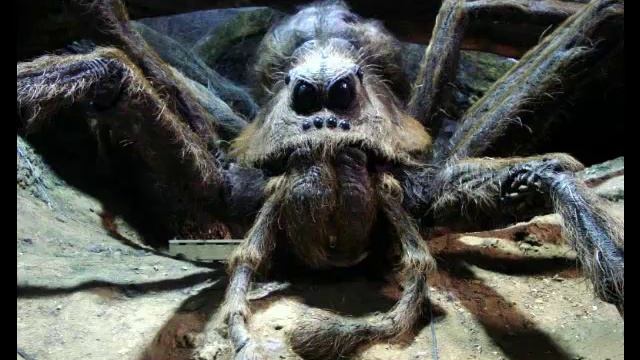 Fantastic Beasts and Where to Find Them Game смотреть онлайн